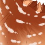 Petal