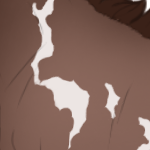 Koa
