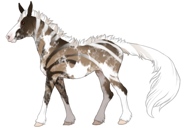 brackenveil